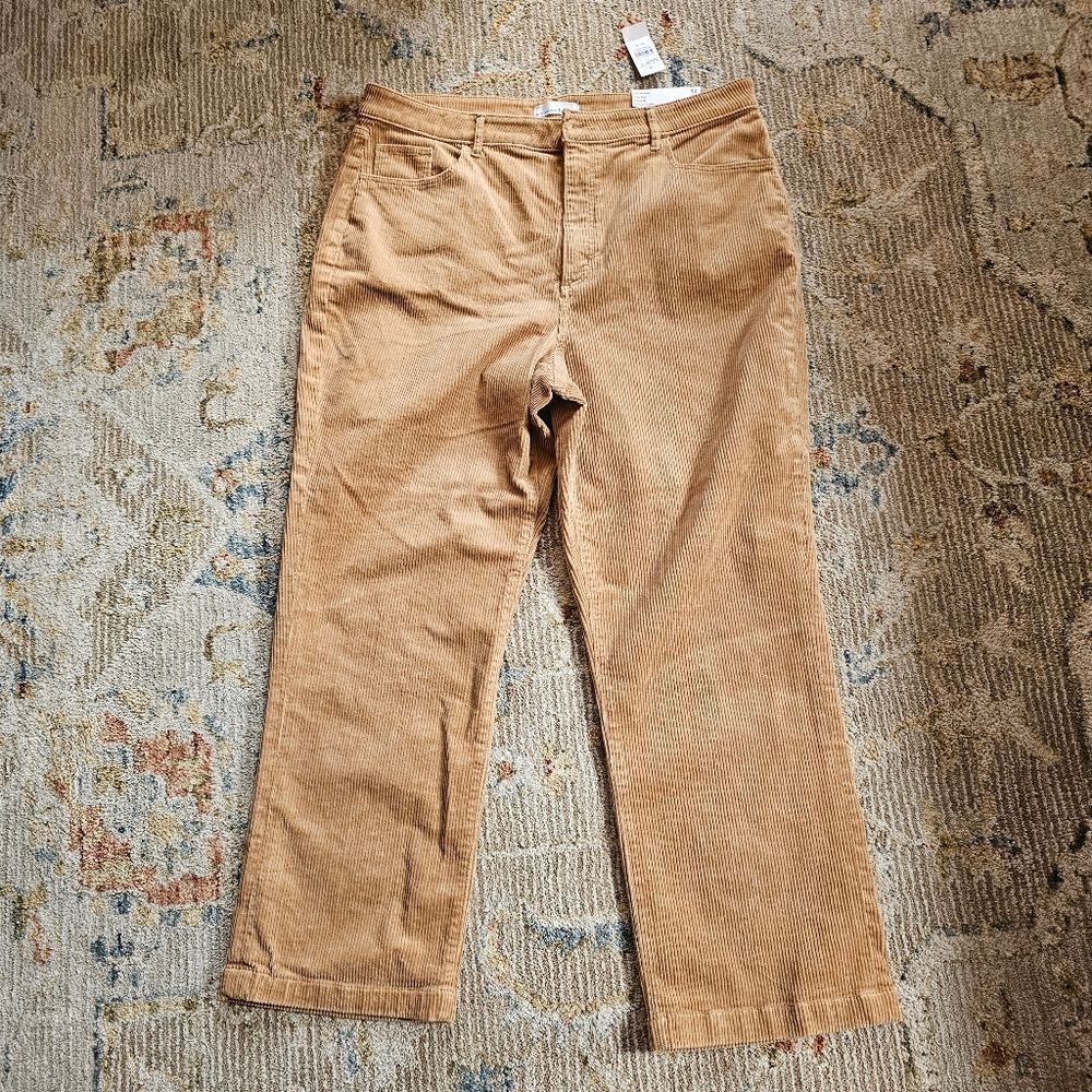 NWT Loft Rust Color Cords, Straight Leg, High Rise, Sz 33/16, 27" Inseam